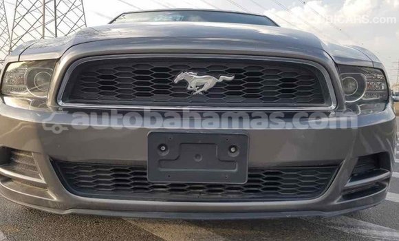 Buy Import Ford Mustang Other Car in Import - Dubai in Abaco Buy Import Ford Mustang Other Car in Import - Dubai in Abaco