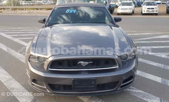 Buy Import Ford Mustang Other Car in Import - Dubai in Abaco Buy Import Ford Mustang Other Car in Import - Dubai in Abaco