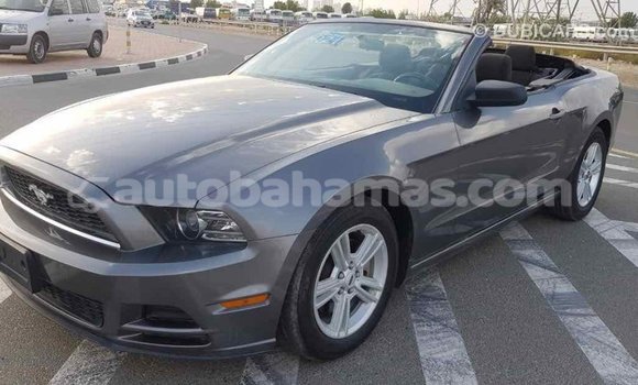Buy Import Ford Mustang Other Car in Import - Dubai in Abaco Buy Import Ford Mustang Other Car in Import - Dubai in Abaco