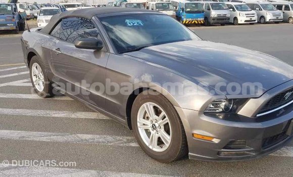 Buy Import Ford Mustang Other Car in Import - Dubai in Abaco Buy Import Ford Mustang Other Car in Import - Dubai in Abaco