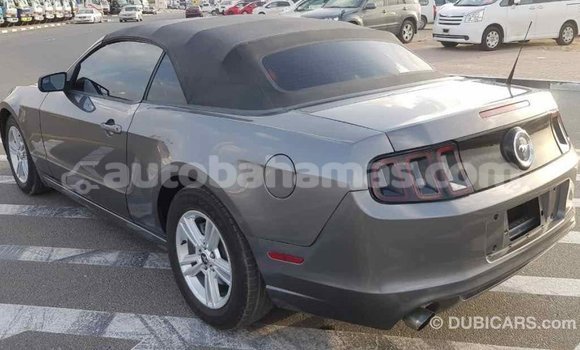 Buy Import Ford Mustang Other Car in Import - Dubai in Abaco Buy Import Ford Mustang Other Car in Import - Dubai in Abaco