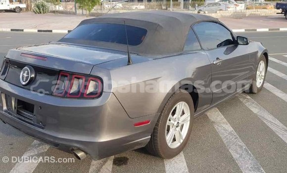 Buy Import Ford Mustang Other Car in Import - Dubai in Abaco Buy Import Ford Mustang Other Car in Import - Dubai in Abaco
