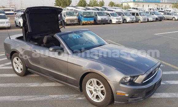 Buy Import Ford Mustang Other Car in Import - Dubai in Abaco Buy Import Ford Mustang Other Car in Import - Dubai in Abaco