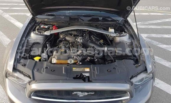 Buy Import Ford Mustang Other Car in Import - Dubai in Abaco Buy Import Ford Mustang Other Car in Import - Dubai in Abaco