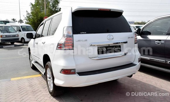 Buy Import Lexus GX White Car in Import - Dubai in Abaco Buy Import Lexus GX White Car in Import - Dubai in Abaco