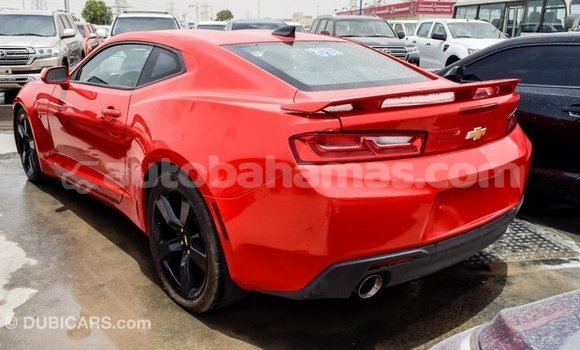Buy Import Chevrolet Camaro Red Car in Import - Dubai in Abaco Buy Import Chevrolet Camaro Red Car in Import - Dubai in Abaco