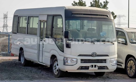 Buy Import Toyota Coaster White Car in Import - Dubai in Abaco Buy Import Toyota Coaster White Car in Import - Dubai in Abaco