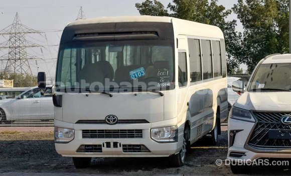 Buy Import Toyota Coaster White Car in Import - Dubai in Abaco Buy Import Toyota Coaster White Car in Import - Dubai in Abaco