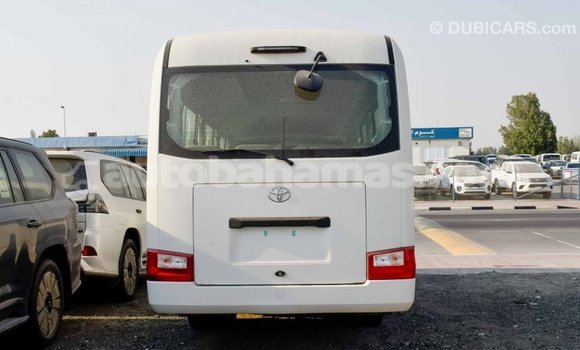 Buy Import Toyota Coaster White Car in Import - Dubai in Abaco Buy Import Toyota Coaster White Car in Import - Dubai in Abaco