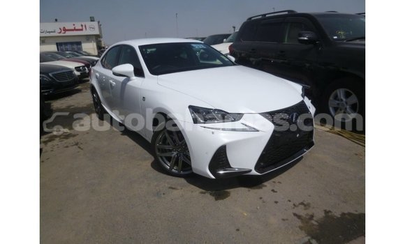Buy Import Lexus IS White Car in Import - Dubai in Abaco Buy Import Lexus IS White Car in Import - Dubai in Abaco