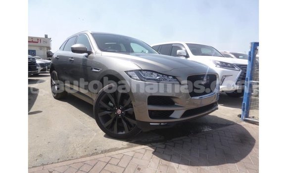 Buy Import Jaguar F-Pace Other Car in Import - Dubai in Abaco