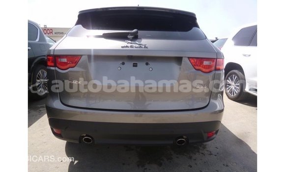 Buy Import Jaguar F-Pace Other Car in Import - Dubai in Abaco Buy Import Jaguar F-Pace Other Car in Import - Dubai in Abaco