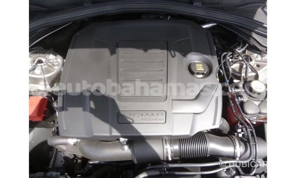 Buy Import Jaguar F-Pace Other Car in Import - Dubai in Abaco Buy Import Jaguar F-Pace Other Car in Import - Dubai in Abaco