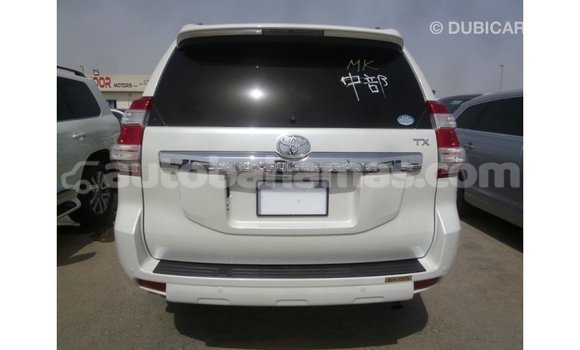 Buy Import Toyota Prado White Car in Import - Dubai in Abaco Buy Import Toyota Prado White Car in Import - Dubai in Abaco