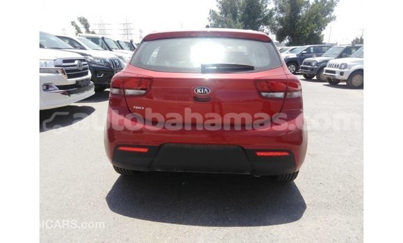 Buy Import Kia Rio Red Car in Import - Dubai in Abaco Buy Import Kia Rio Red Car in Import - Dubai in Abaco