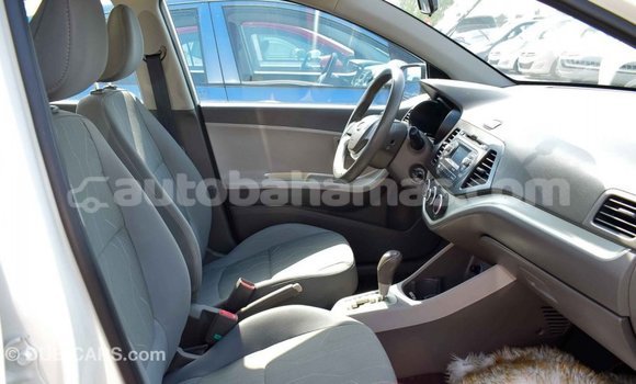Buy Import Kia Picanto White Car in Import - Dubai in Abaco Buy Import Kia Picanto White Car in Import - Dubai in Abaco