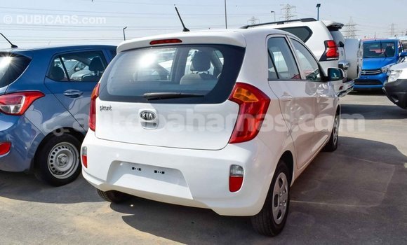 Buy Import Kia Picanto White Car in Import - Dubai in Abaco Buy Import Kia Picanto White Car in Import - Dubai in Abaco