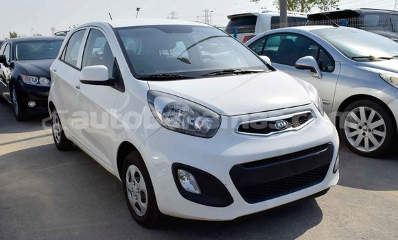 Buy Import Kia Picanto White Car in Import - Dubai in Abaco