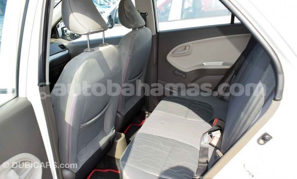 Buy Import Kia Picanto White Car in Import - Dubai in Abaco Buy Import Kia Picanto White Car in Import - Dubai in Abaco