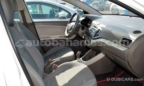 Buy Import Kia Picanto White Car in Import - Dubai in Abaco Buy Import Kia Picanto White Car in Import - Dubai in Abaco