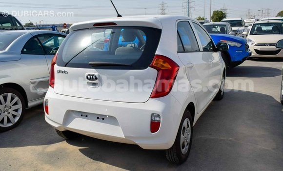 Buy Import Kia Picanto White Car in Import - Dubai in Abaco Buy Import Kia Picanto White Car in Import - Dubai in Abaco