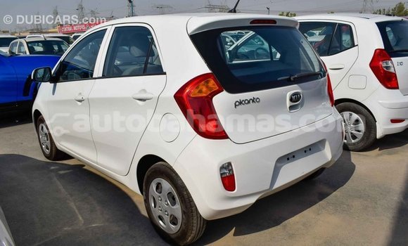 Buy Import Kia Picanto White Car in Import - Dubai in Abaco Buy Import Kia Picanto White Car in Import - Dubai in Abaco