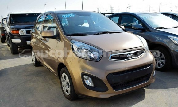 Buy Import Kia Picanto Brown Car in Import - Dubai in Abaco