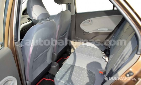 Buy Import Kia Picanto Brown Car in Import - Dubai in Abaco Buy Import Kia Picanto Brown Car in Import - Dubai in Abaco