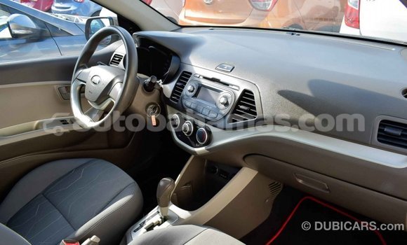 Buy Import Kia Picanto Brown Car in Import - Dubai in Abaco Buy Import Kia Picanto Brown Car in Import - Dubai in Abaco