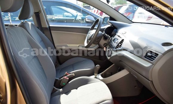 Buy Import Kia Picanto Brown Car in Import - Dubai in Abaco Buy Import Kia Picanto Brown Car in Import - Dubai in Abaco