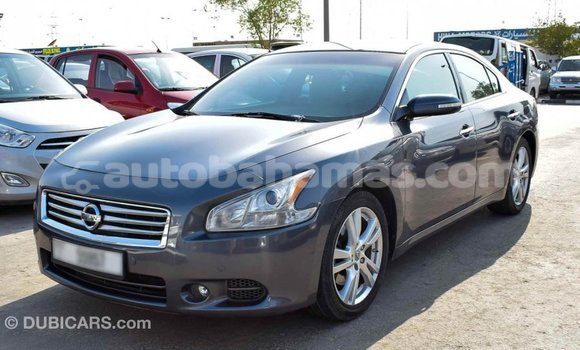 Buy Import Nissan Maxima Other Car in Import - Dubai in Abaco Buy Import Nissan Maxima Other Car in Import - Dubai in Abaco