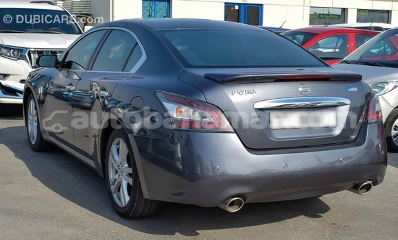Buy Import Nissan Maxima Other Car in Import - Dubai in Abaco Buy Import Nissan Maxima Other Car in Import - Dubai in Abaco