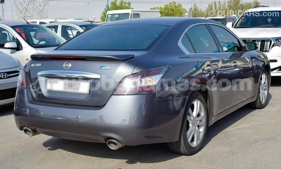 Buy Import Nissan Maxima Other Car in Import - Dubai in Abaco Buy Import Nissan Maxima Other Car in Import - Dubai in Abaco