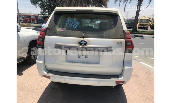 Buy Import Toyota Prado White Car in Import - Dubai in Abaco Buy Import Toyota Prado White Car in Import - Dubai in Abaco