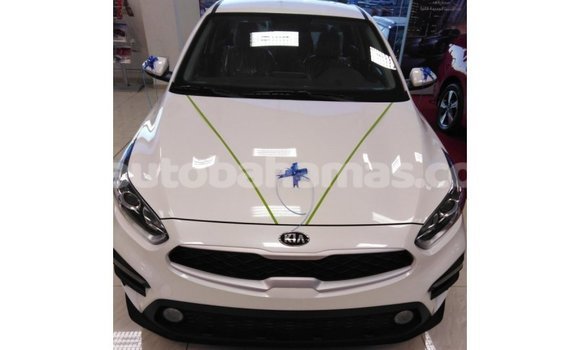 Buy Import Kia Cerato White Car in Import - Dubai in Abaco Buy Import Kia Cerato White Car in Import - Dubai in Abaco