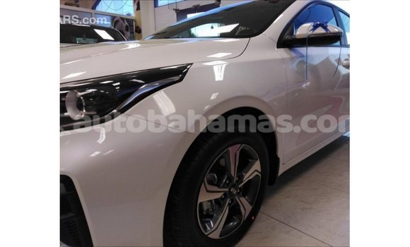 Buy Import Kia Cerato White Car in Import - Dubai in Abaco Buy Import Kia Cerato White Car in Import - Dubai in Abaco