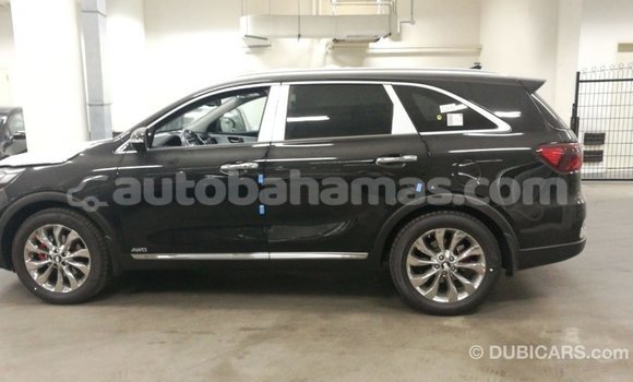 Buy Import Kia Sorento Brown Car in Import - Dubai in Abaco Buy Import Kia Sorento Brown Car in Import - Dubai in Abaco