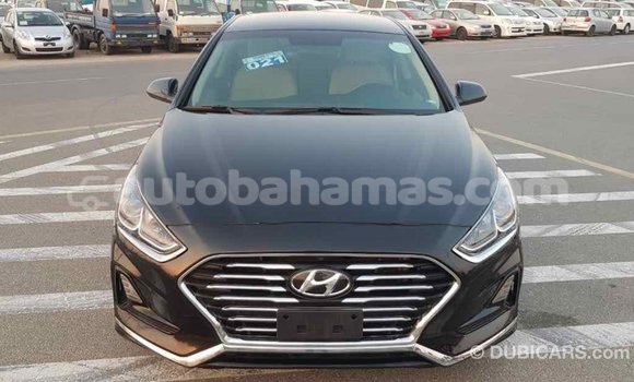 Buy Import Hyundai Sonata Black Car in Import - Dubai in Abaco Buy Import Hyundai Sonata Black Car in Import - Dubai in Abaco
