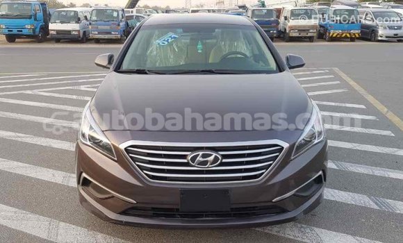 Buy Import Hyundai Sonata Brown Car in Import - Dubai in Abaco Buy Import Hyundai Sonata Brown Car in Import - Dubai in Abaco