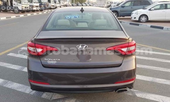 Buy Import Hyundai Sonata Brown Car in Import - Dubai in Abaco Buy Import Hyundai Sonata Brown Car in Import - Dubai in Abaco