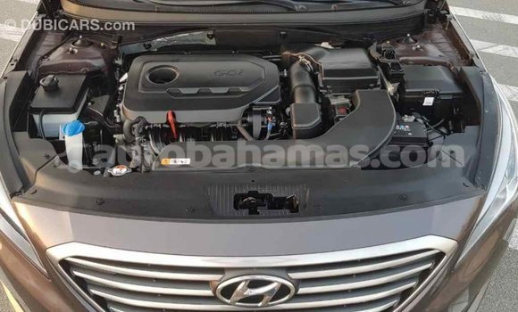 Buy Import Hyundai Sonata Brown Car in Import - Dubai in Abaco Buy Import Hyundai Sonata Brown Car in Import - Dubai in Abaco