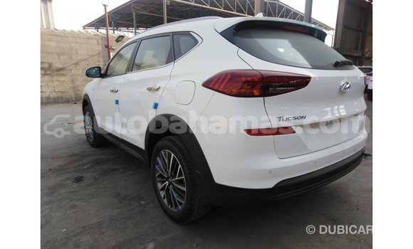 Buy Import Hyundai Tucson White Car in Import - Dubai in Abaco Buy Import Hyundai Tucson White Car in Import - Dubai in Abaco