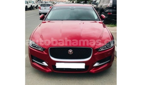Buy Import Jaguar XE Red Car in Import - Dubai in Abaco