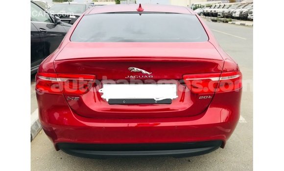 Buy Import Jaguar XE Red Car in Import - Dubai in Abaco Buy Import Jaguar XE Red Car in Import - Dubai in Abaco