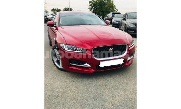 Buy Import Jaguar XE Red Car in Import - Dubai in Abaco Buy Import Jaguar XE Red Car in Import - Dubai in Abaco