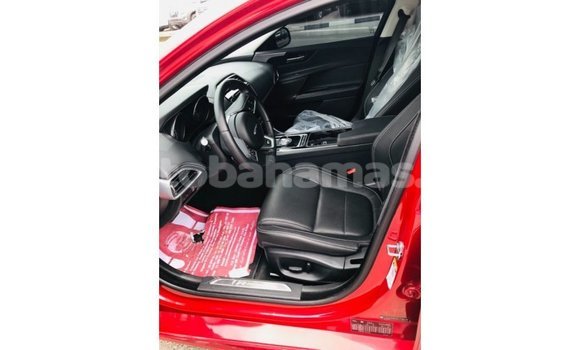 Buy Import Jaguar XE Red Car in Import - Dubai in Abaco Buy Import Jaguar XE Red Car in Import - Dubai in Abaco