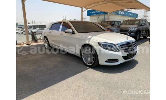 Buy Import Mercedes-Benz 190 (W201) White Car in Import - Dubai in Abaco Buy Import Mercedes-Benz 190 (W201) White Car in Import - Dubai in Abaco
