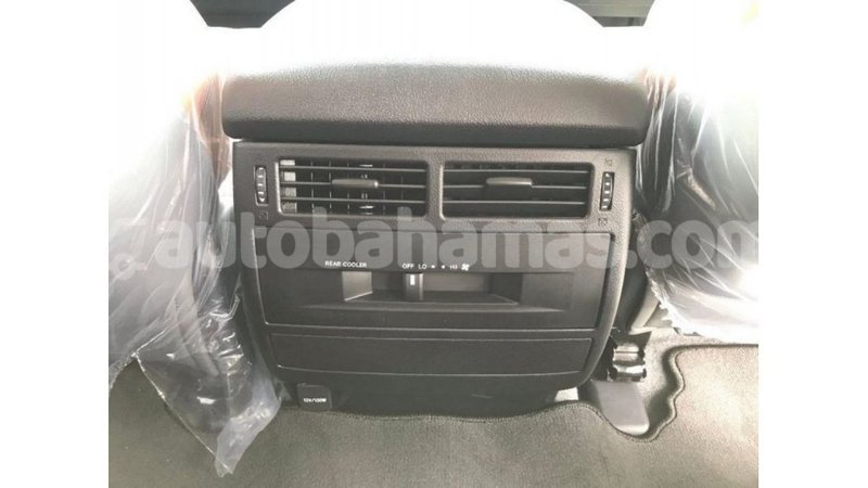 Big with watermark 35448700 3053 49c4 8d0a d406f96c8f4b