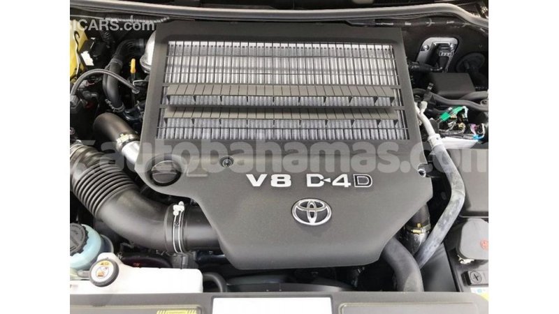 Big with watermark e43e636e 6f30 4c2e a7d8 baceeb724cb9