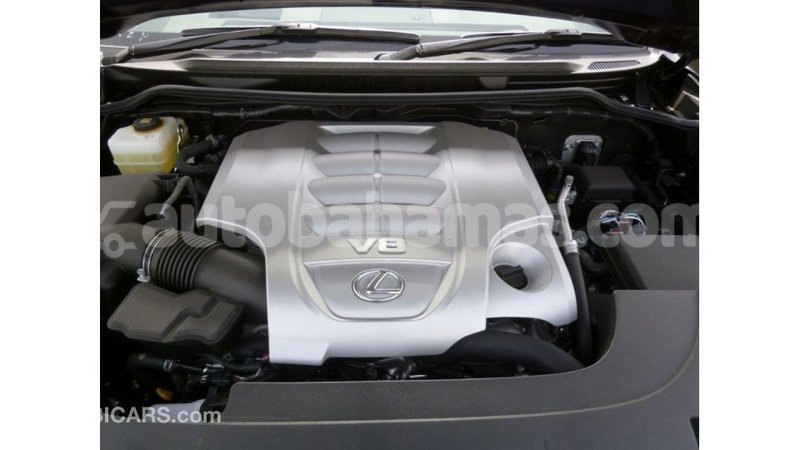 Big with watermark b6443414 8675 4449 9858 e14dacb61dd6